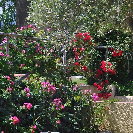 Hotel Tirrena Bike & Country 3*