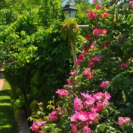 Tirrena Bike & Country