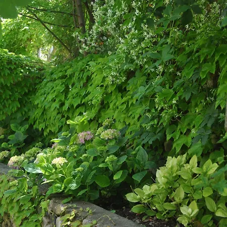 호텔 Tirrena Bike & Country