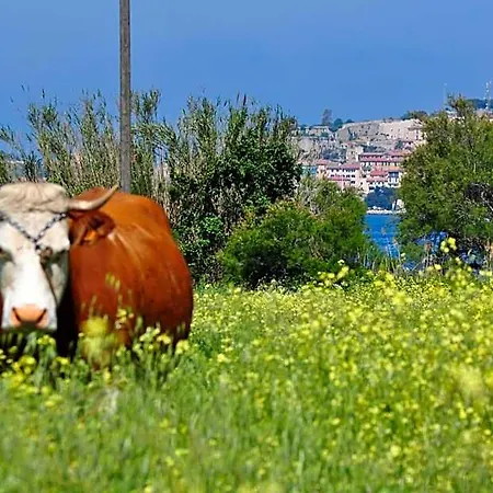 Tirrena Bike & Country