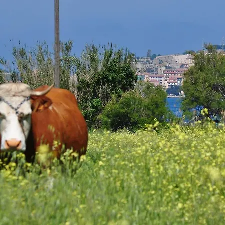 Szálloda Tirrena Bike & Country Portoferraio
