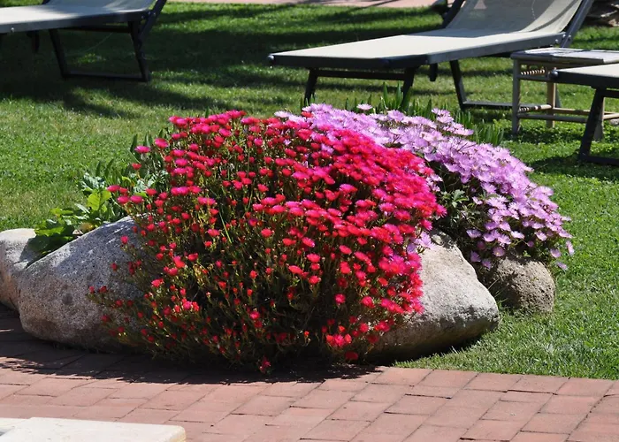 Tirrena Bike & Country Portoferraio