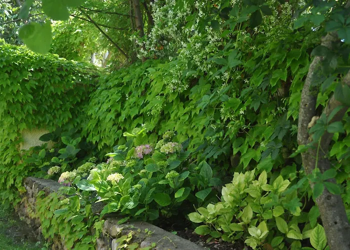 Szálloda Tirrena Bike & Country