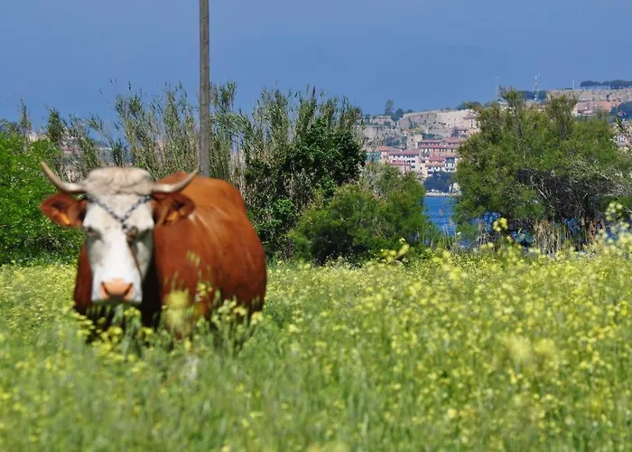 Szálloda Tirrena Bike & Country Portoferraio