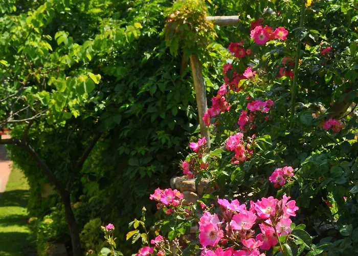 Tirrena Bike & Country