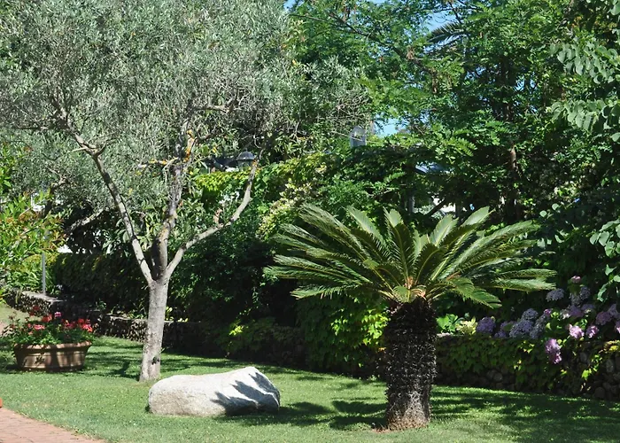 מלון Tirrena Bike & Country