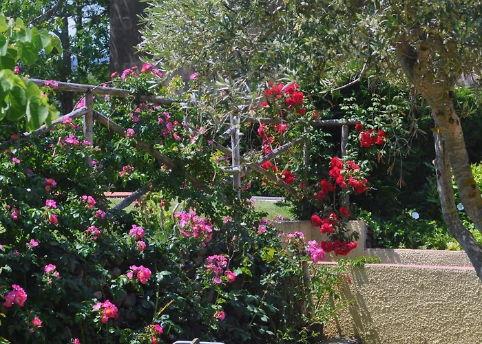 מלון Tirrena Bike & Country 3*